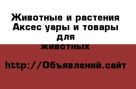 Животные и растения Аксесcуары и товары для животных